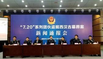 某城头条,聚焦城市发展，解码民生热点